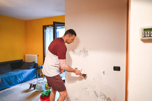 Best Mold Damage Repair  in Fort Meade, MD